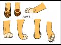Paws_lion_00_by_Lucifer017.jpg